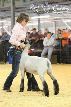 385350_331416510301529_1684379658_n