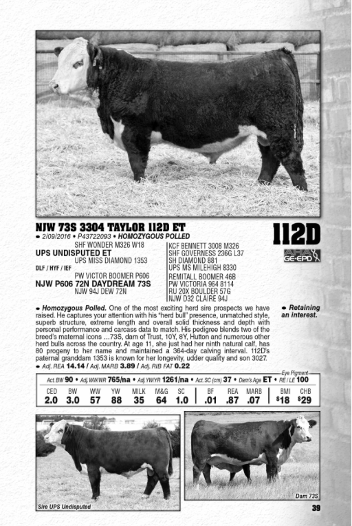 Screen Shot 2017-05-29 at 10.13.45 AM